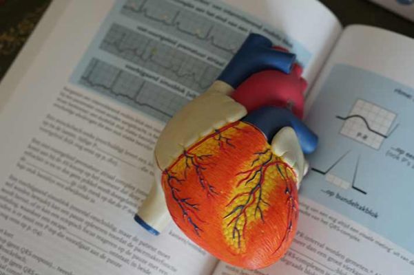 Conoscere e non temere gli Infarti con la prevenzione