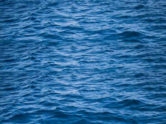 blue mind