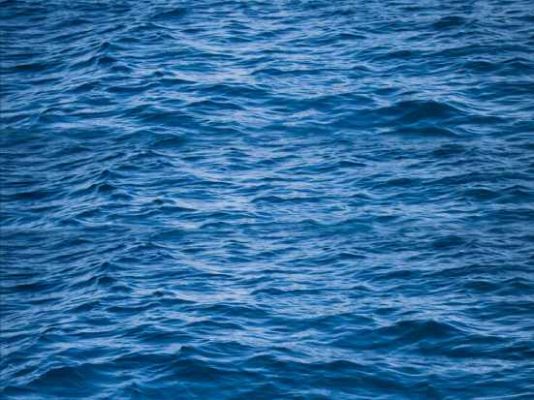 blue mind