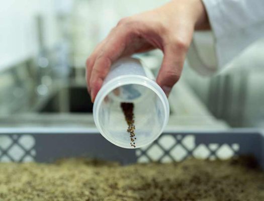 Patologie curabili con integratori ad erbe naturali